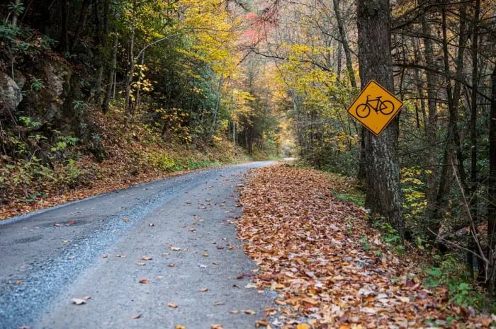 Trans Virginia Bike Route